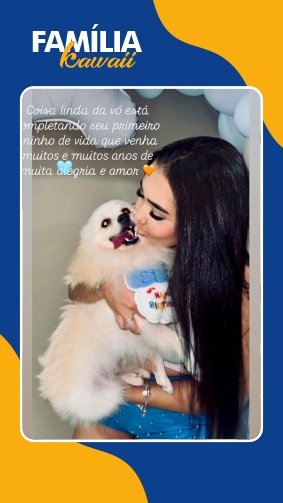 Filhote de Sptiz creme